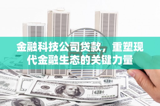 枣阳金融科技公司贷款，重塑现代金融生态的关键力量