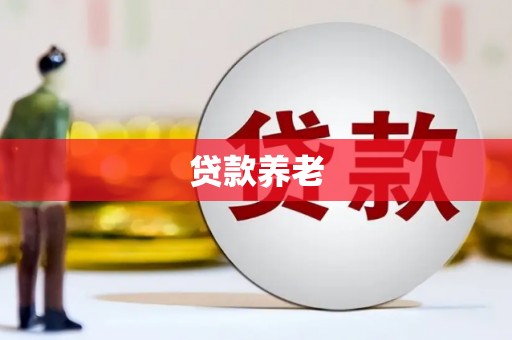枣阳贷款养老