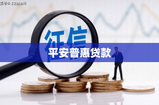 枣阳平安普惠贷款