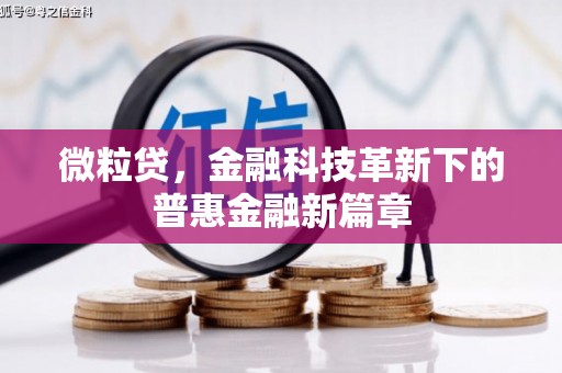 枣阳微粒贷，金融科技革新下的普惠金融新篇章