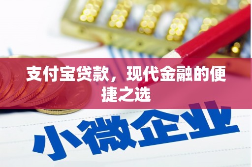 枣阳支付宝贷款，现代金融的便捷之选