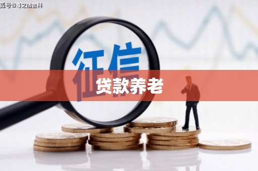 枣阳贷款养老