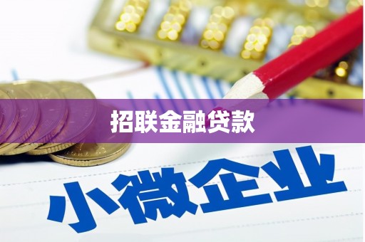 枣阳招联金融贷款