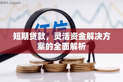 枣阳短期贷款，灵活资金解决方案的全面解析