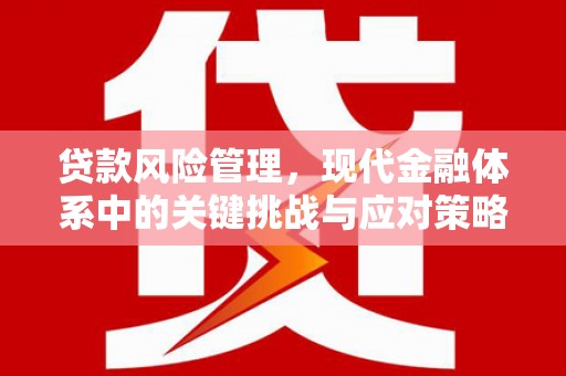 枣阳贷款风险管理，现代金融体系中的关键挑战与应对策略