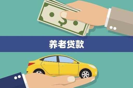 枣阳养老贷款