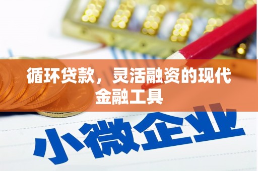 枣阳循环贷款，灵活融资的现代金融工具