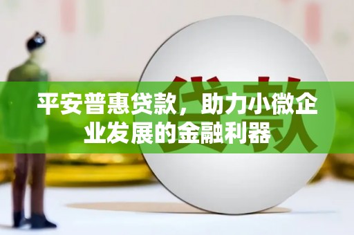 枣阳平安普惠贷款，助力小微企业发展的金融利器
