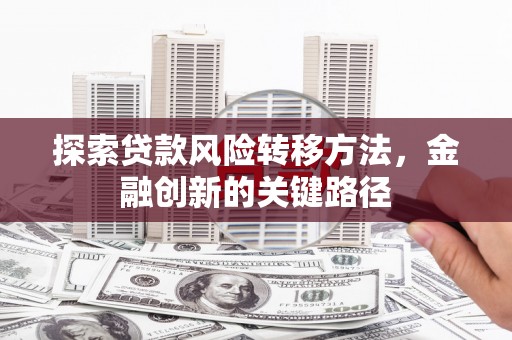 枣阳探索贷款风险转移方法，金融创新的关键路径