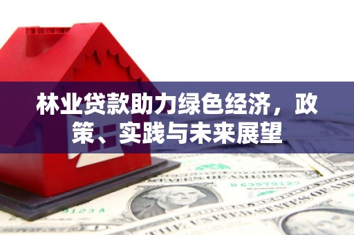枣阳林业贷款助力绿色经济，政策、实践与未来展望