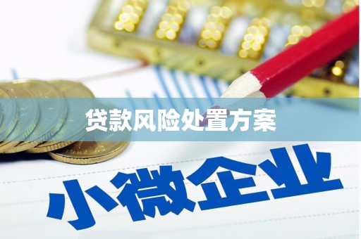 枣阳贷款风险处置方案
