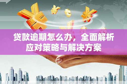 枣阳贷款逾期怎么办，全面解析应对策略与解决方案