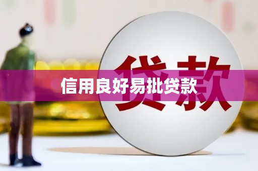 枣阳信用良好易批贷款