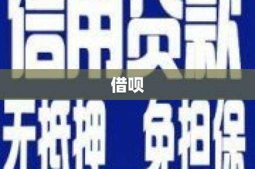 枣阳借呗