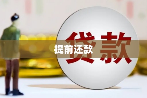 枣阳提前还款