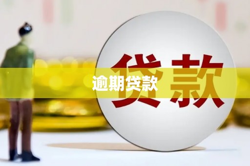 枣阳逾期贷款